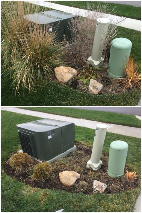 evergreens to hide electrical box|hiding utility boxes around house.